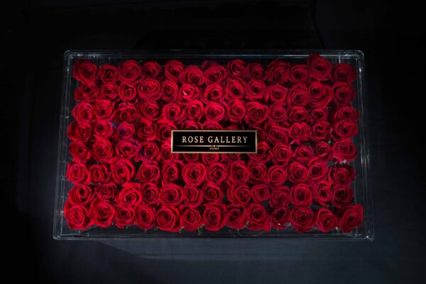 Grande Box - Image 2