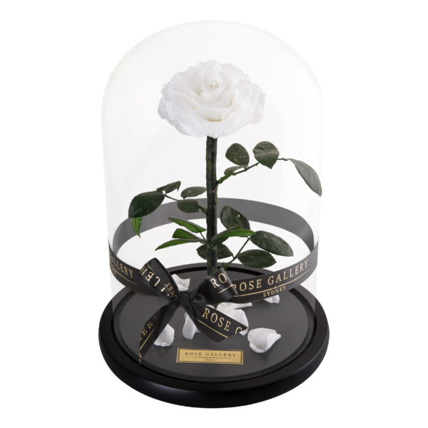 Everlasting Large Rose Dome - Image 2