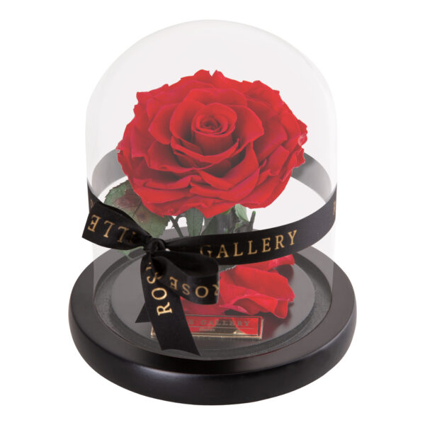 Everlasting Mini Rose Domes - Image 6