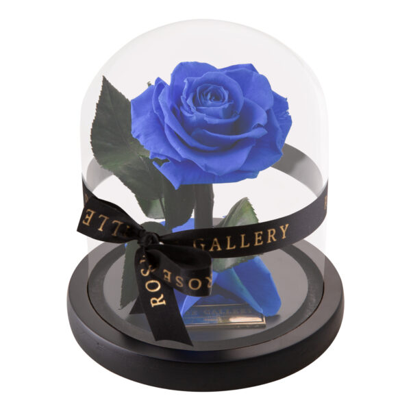 Everlasting Mini Rose Domes - Image 5