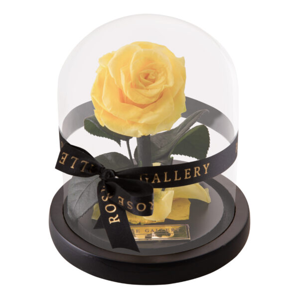 Everlasting Mini Rose Domes - Image 4