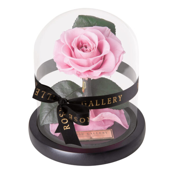 Everlasting Mini Rose Domes - Image 2