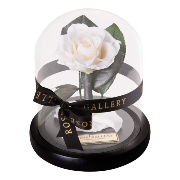 Everlasting Mini Rose Domes - Image 3