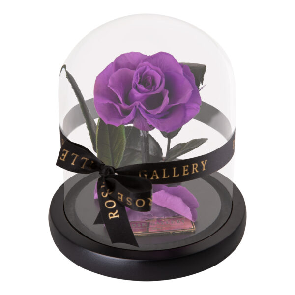Everlasting Mini Rose Domes - Image 7