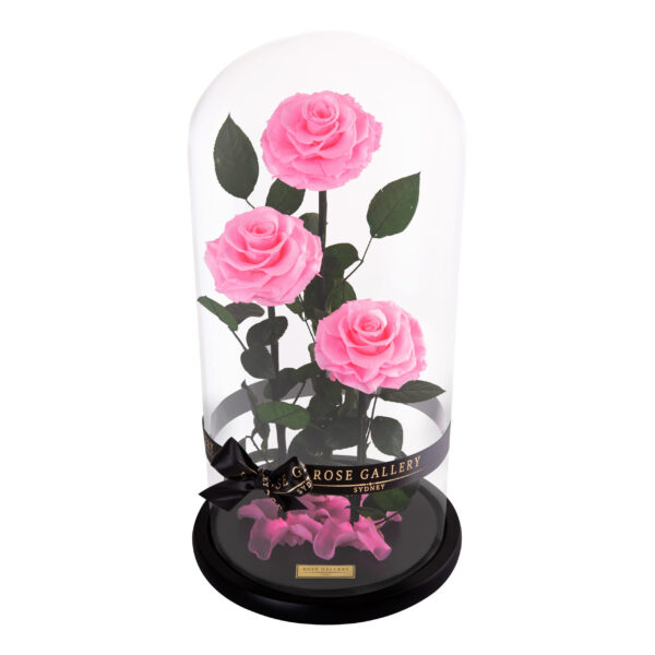 Trinity Rose Dome - Image 2
