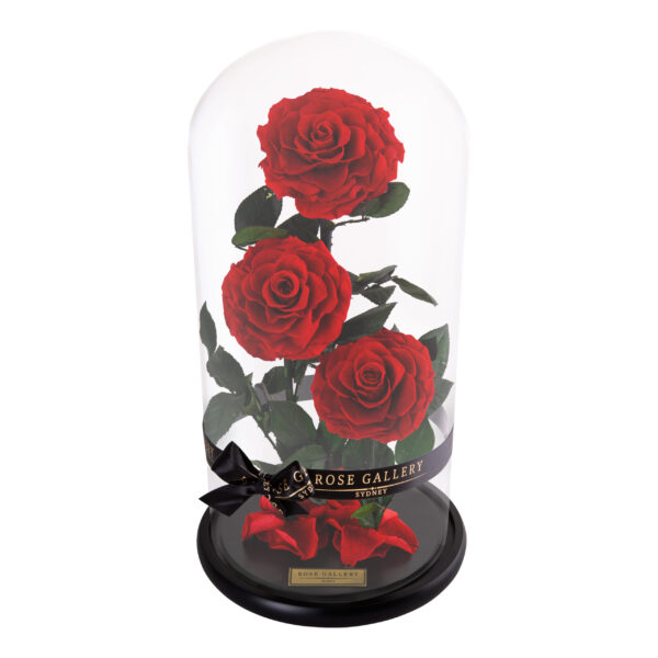 Trinity Rose Dome