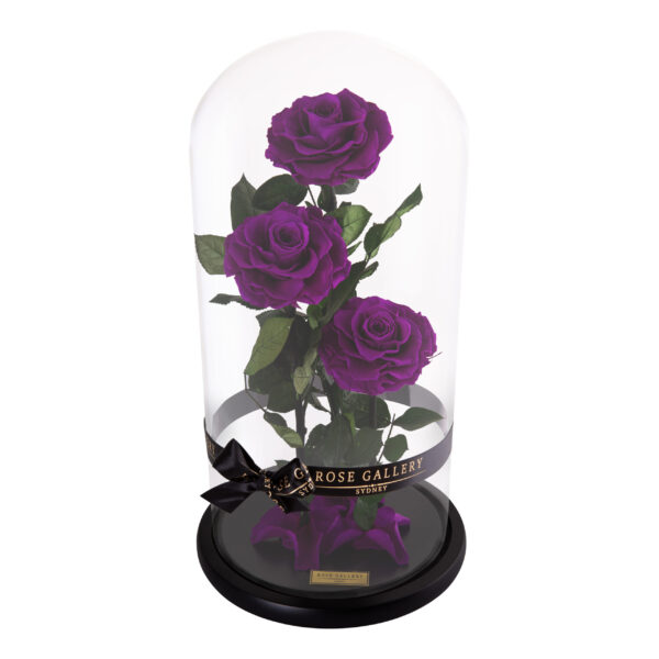 Trinity Rose Dome - Image 3