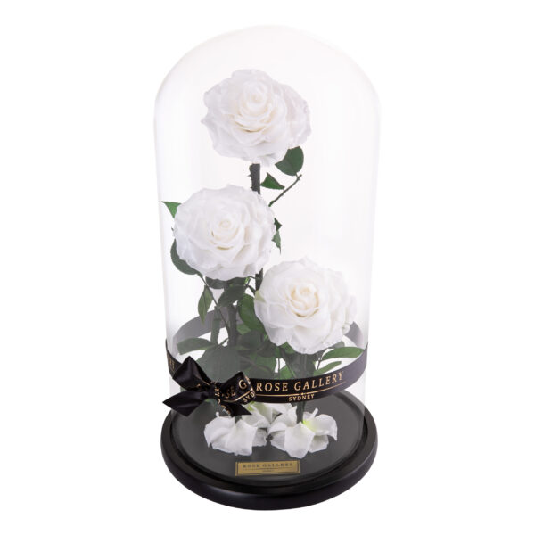 Trinity Rose Dome - Image 5